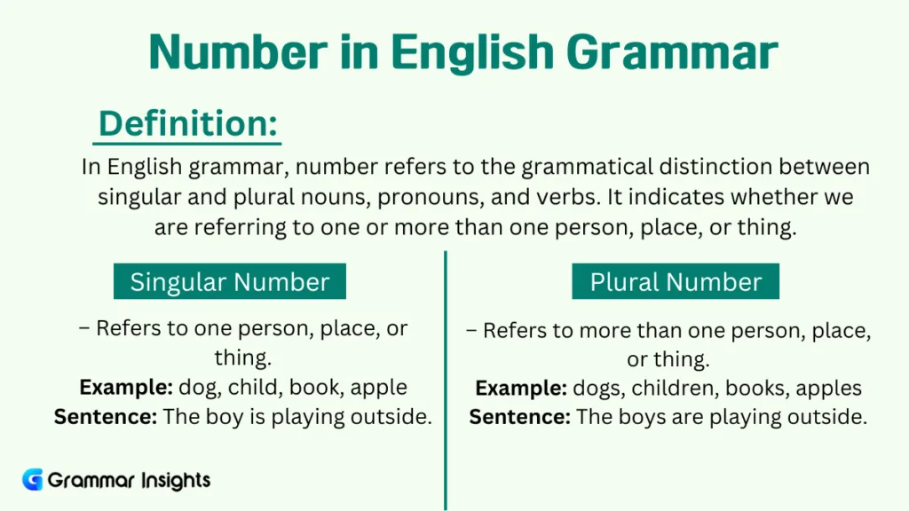 Number in English Grammar: Types, Rules & Examples What Is Number in English Grammar?