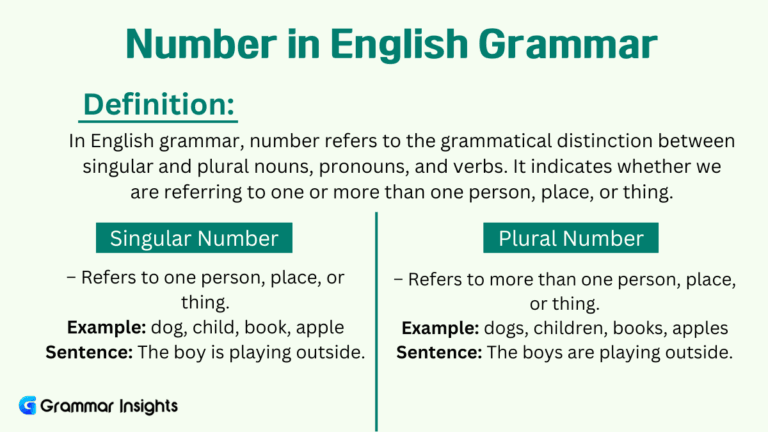 What Is Number in English Grammar?