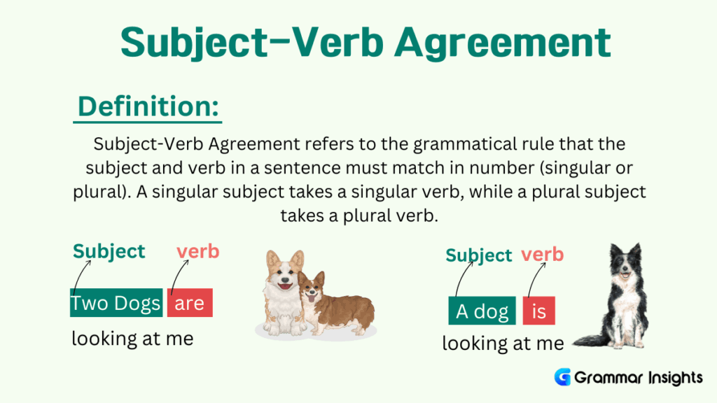 Subject-Verb Agreement Rules and Examples