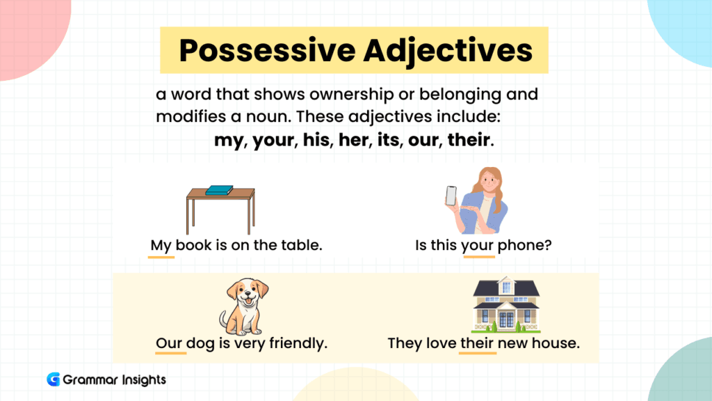 What Are Possessive Adjectives?
