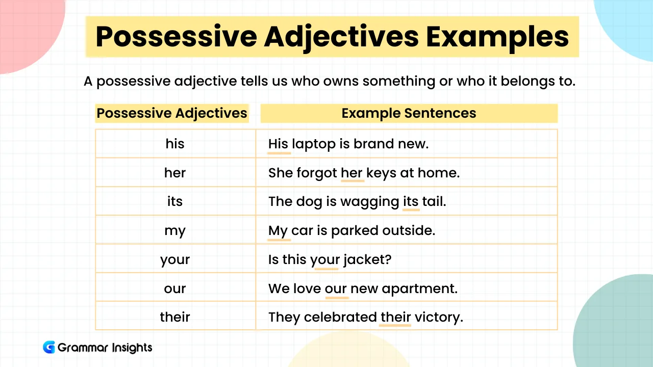 Examples of Possessive Adjectives
