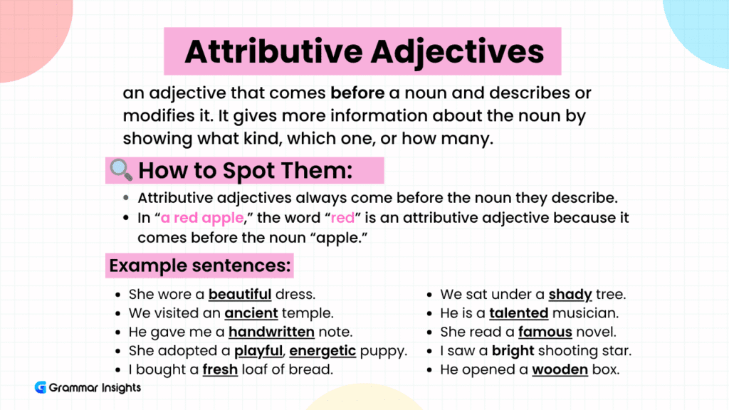 What are Attributive Adjectives?