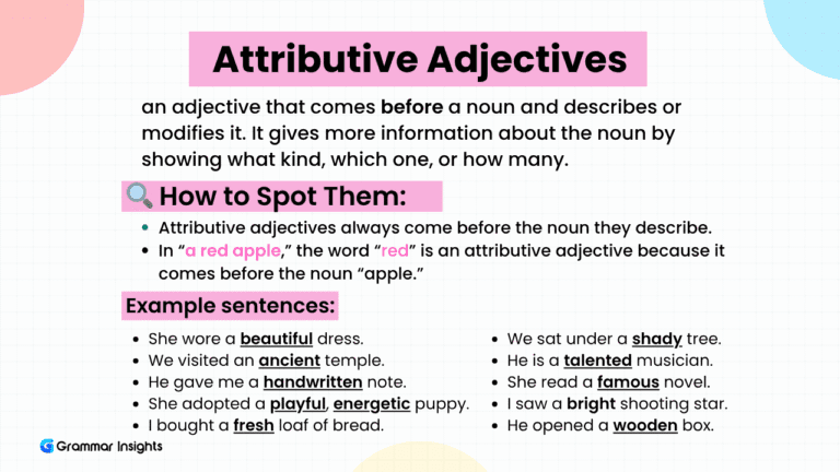 What are Attributive Adjectives?