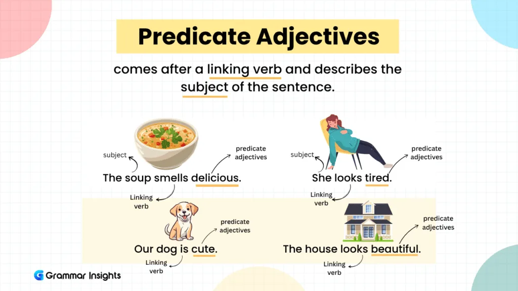 Predicate Adjectives: Meaning & Examples what are Predicate adjectives?